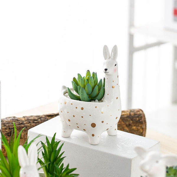 creative ceramic planter