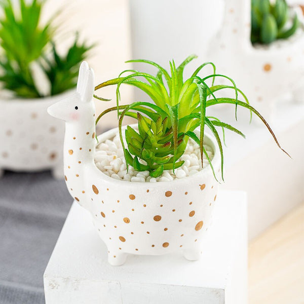 creative ceramic planter