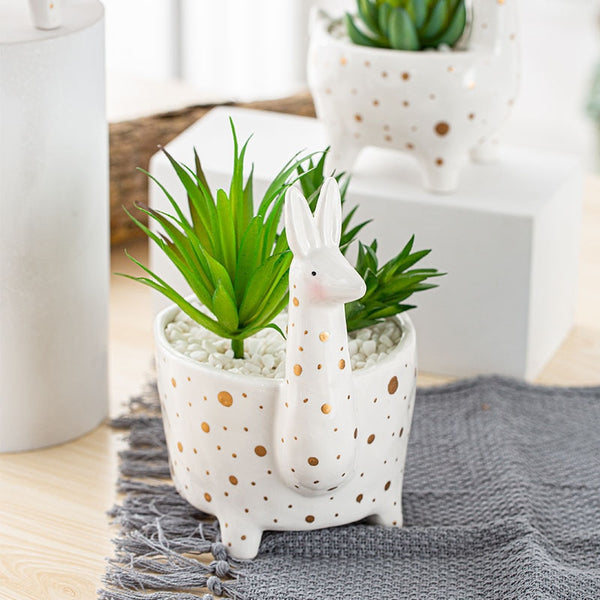 creative ceramic planter