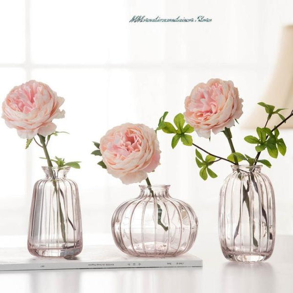 set of dried flowers vase 3pcs pink