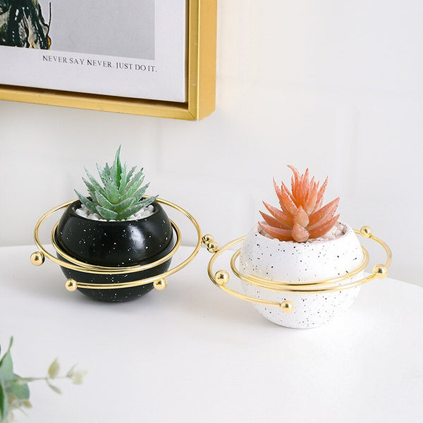 succulent plant pots