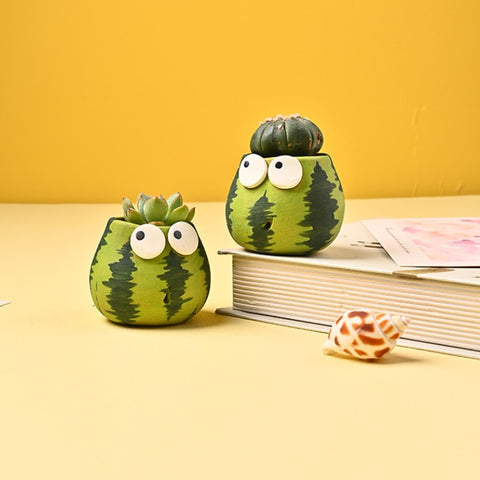 cute watermelon plant pots set | mini succulent flower pot with drainage hole