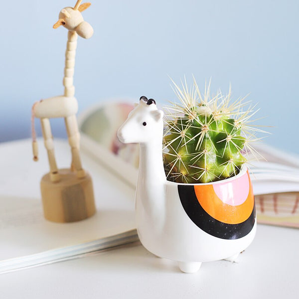 cartoon animal succulent pot