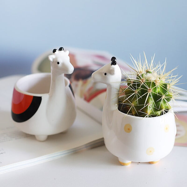 cartoon animal succulent pot