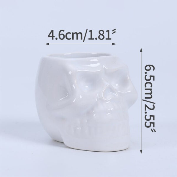 skull shape ceramic succulent flower pot a