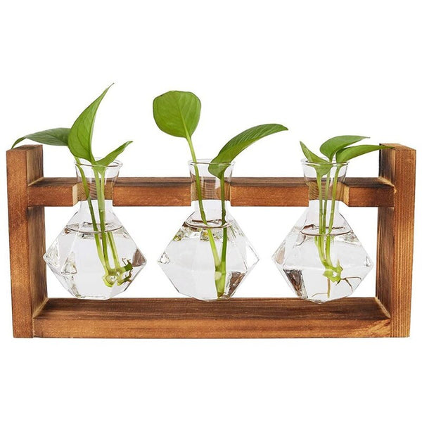 diamong plant propagation stations