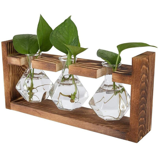 diamong plant propagation stations