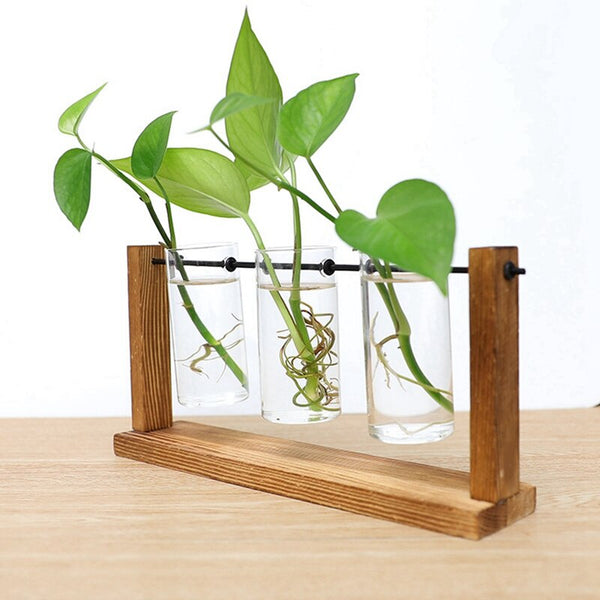 succulent propagation station Wooden propagation station